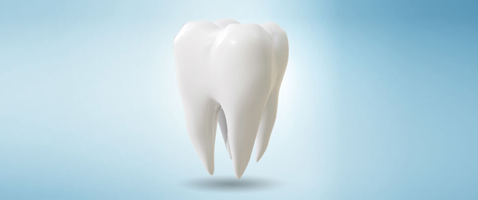 04 歯の移植（自家歯牙移植）